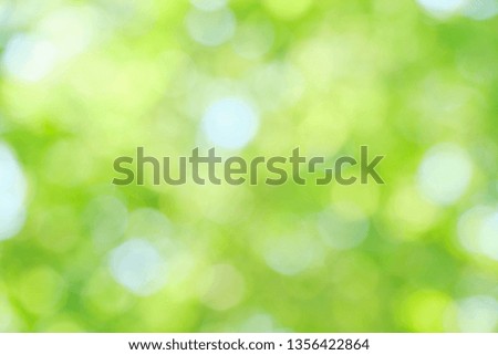 Blurred image of abstract circular green bokeh from nature background, soft and blur focus,using as background or wallpaper