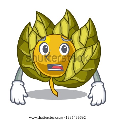 Afraid physalis fruit isolated in the character