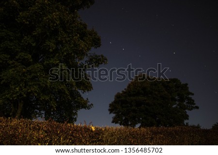 Long exposure image of night sky with stars and trees