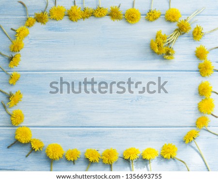 dandelion frame on a blue wood rustic background