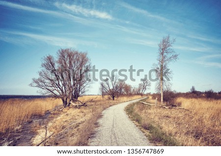 Color toned picture of a countryside road by a lake.