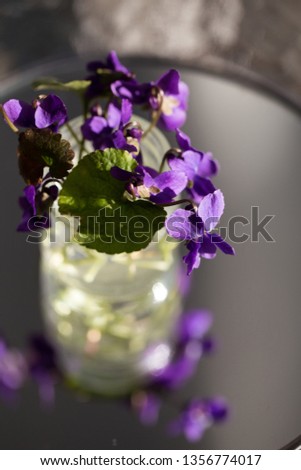 Bouquet of violets in small glass vase on mirror.