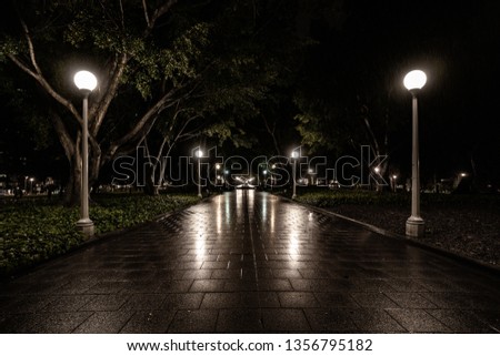 night in the park
