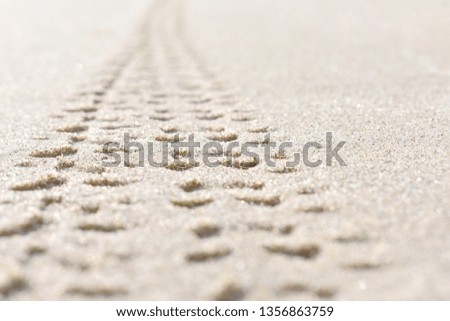 Bicycle tracks on the sand. Close-up photos, selection focus.