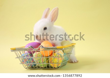 Easter bunny rabbit white with painted egg in the wooden basket on blue background. Easter holiday concept.