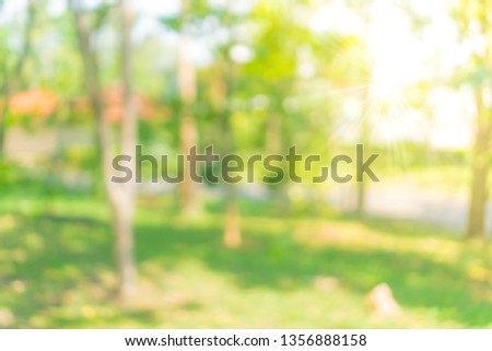 Blur nature bokeh green park by beach and tropical coconut trees in sunset time.
