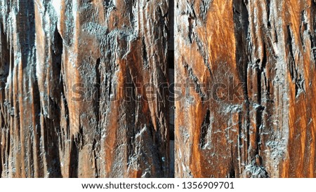 shiny wooden texture