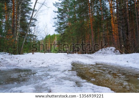 Early spring wood in Moscow region, Russia