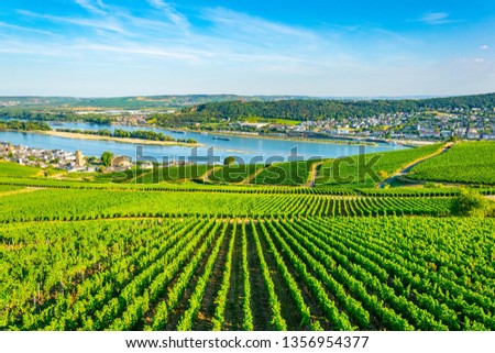 Aerial view of Ruedesheim am Rhein in Germany Royalty-Free Stock Photo #1356954377