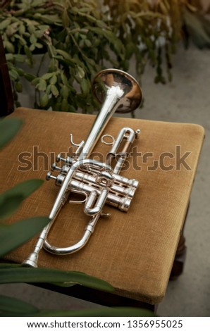 Wedding rings next to a trumpet 