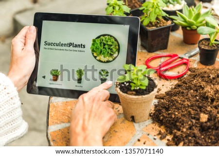 Holding digital tablet, looking at succulent plants online