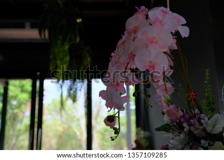 Artificial Phalaenopsis orchid