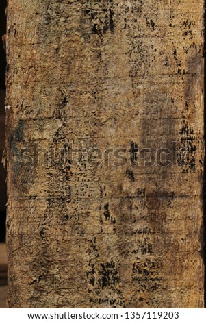 old wood pattern texture background