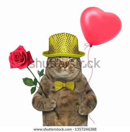 The trendy dressed cat is holding a red rose and a balloon. White background. Isolated.