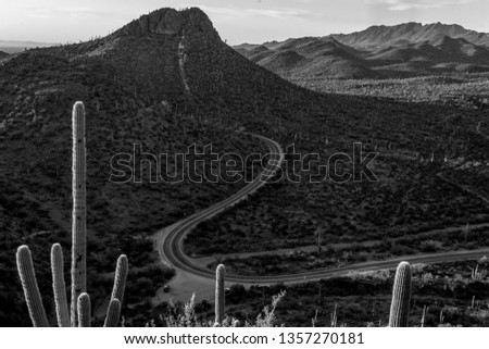 Black and white photograph of Picture Rocks road winding through Contzen Pass in Saguaro National Park west of Tucson. Sonoran Desert landscape with giant cactus. Pima County, Tucson, Arizona. 2019.