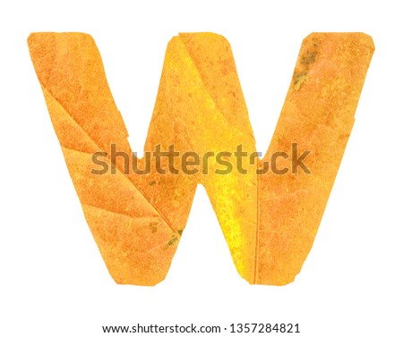 Letter W carved from the autumn leaves, isolated on white background, closeup