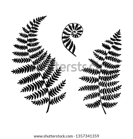 Fern silhouettes isolated on a white backgroubd. Vector. Royalty-Free Stock Photo #1357341359
