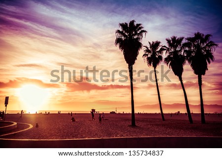Venice Beach. Sunset. Summer concept Royalty-Free Stock Photo #135734837