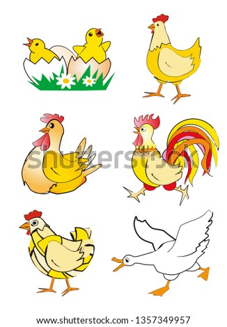 Chicken, hen, rooster and goose - cartoon.
Colorful stylized illustrations of chicken, Hen, rooster and goose. Isolated on white background. Vector available.