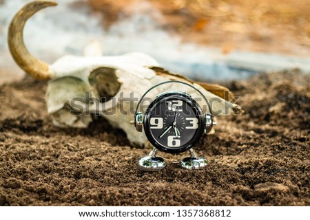 Black alarm clock time numbers and time needle white place put on the ground gravel in the garden with cow horn or cow skull and smoke as background.