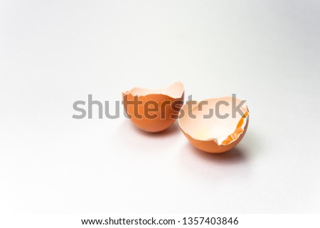 broken shells of eggs