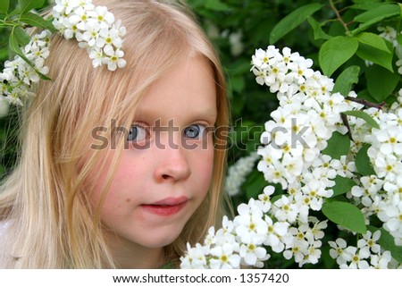 Little girl and Bird Cherry flowers