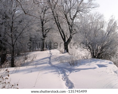 Beautiful winter landscapes taken on a clear day