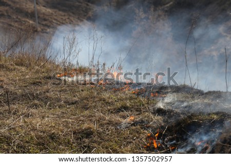 arson of dry grass
 Royalty-Free Stock Photo #1357502957