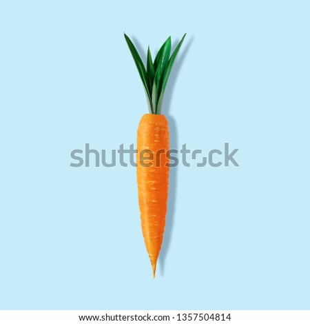 Carrot with pineapple leaves on pastel blue background. Minimal Easter composition.