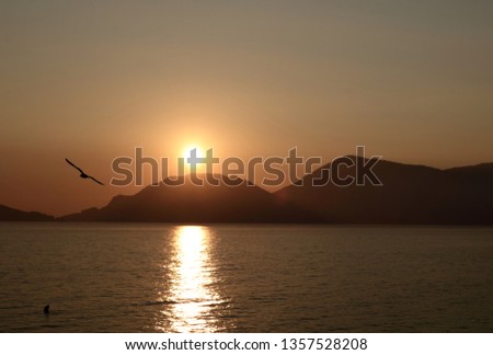 when the sun goes down, behind Palmaria's Island with seagull