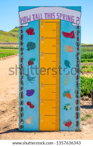 Giant standing ruler designed to measure the height of kids decorated with pictures of vegetables.