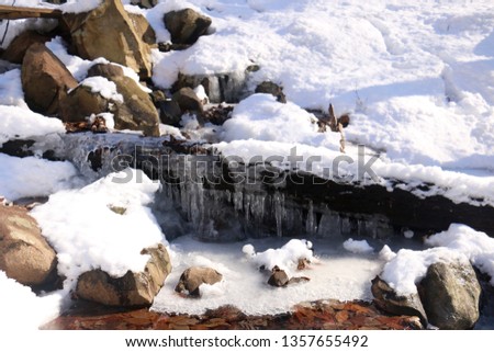Icicles forming on a log at South Mountain Reservation in South Orange, New Jersey