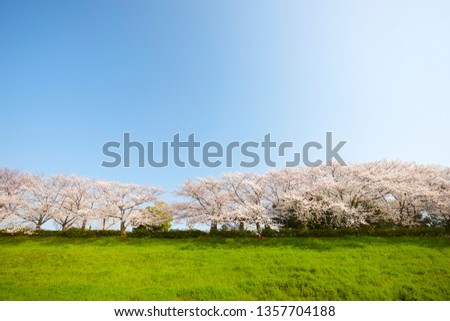 japan spring come Royalty-Free Stock Photo #1357704188
