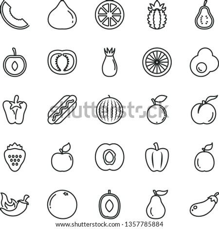 thin line vector icon set - Hot Dog vector, chili, peper, fried egg, strawberry, ripe peach, half apricot, rose hip, fig, blueberry, water melon, slice of, delicious plum, cherry, juicy lemon, guava