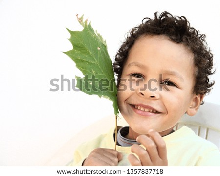 little boy having fun with autumn leaves on white background stock photo