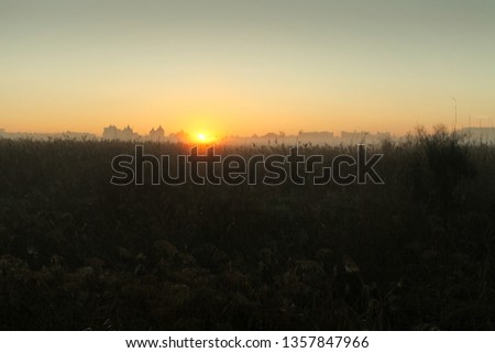 Algarve sunrise, winter dawn over misty marshes near Vilamoura, Portugal