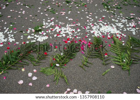 Colorful flower petals sprinkled on the cobblestones, pavement, on the street to celebrate a romantic event like a wedding. Natural and ecological background texture of floral and garden waste.