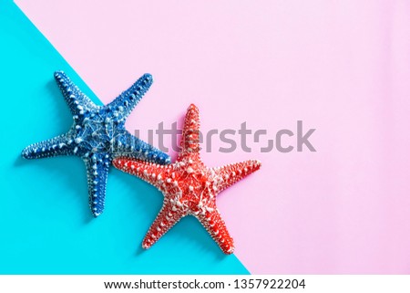 Summer concept. Starfish on color background with free space for text.