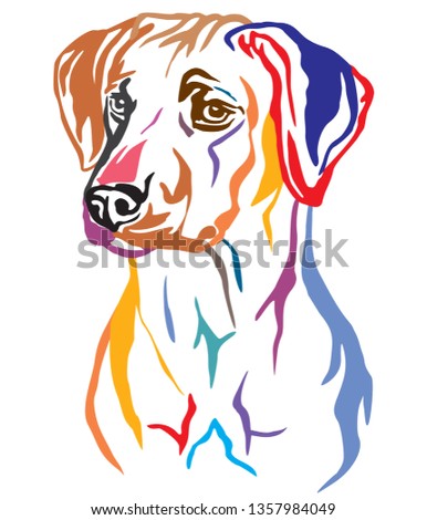 Colorful decorative outline portrait of Rhodesian Ridgeback Dog looking in profile, vector illustration in different colors isolated on white background. Image for design and tattoo. 