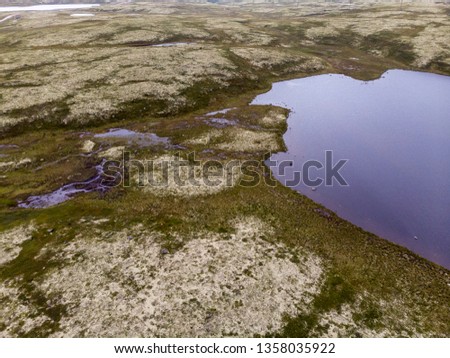 View of the lake in the tundra with drone