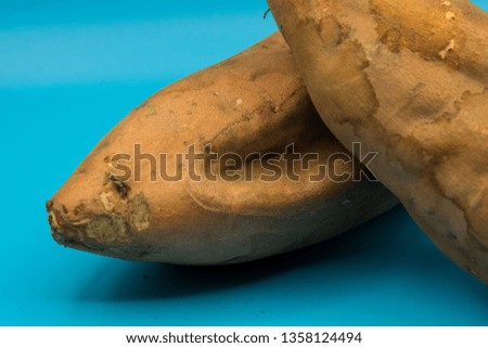 Fat, brown sweet potatoes, also known as yams, arranged on a seamless blue background.