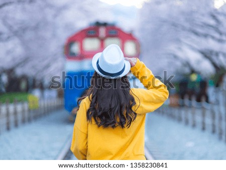 Beautiful young woman traveler traveling in the Train between cherry blossom tree line 