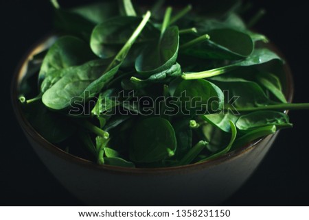 Closeup of the fresh baby spinach in the bowl on the black background.