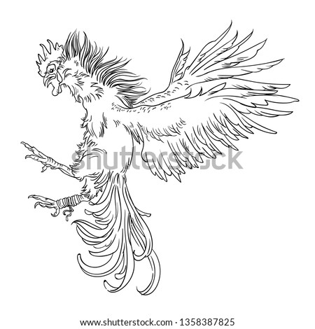 Cockfights Stock Vector Images Avopix Com