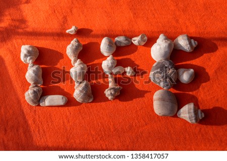 Seashells on turquoise fabric