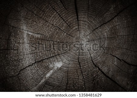 natural wooden texture 