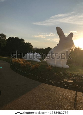 Large inflatable Bunnies in Local Park