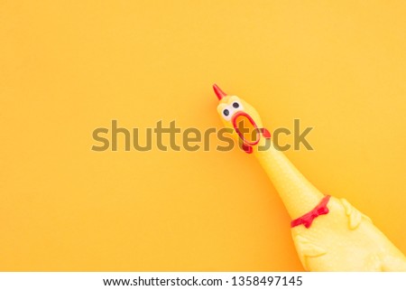 Squawking chicken or squeaky toy are shouting and copy space yellow background. Chicken shouting Toy on orange background. Royalty-Free Stock Photo #1358497145
