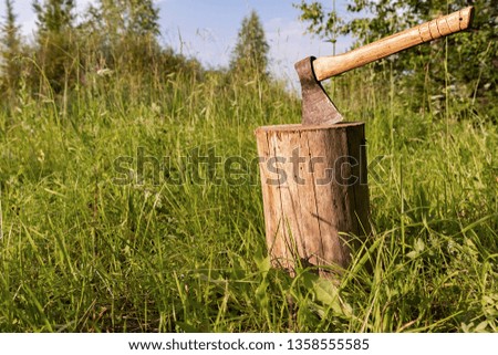 Summer preparation of firewood axe