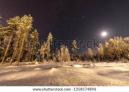 Full moon in clear sky shines over frozen Scandinavian wild forest, long exposure night photo, winter, virgin snowy landscape
